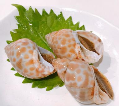 味付けバイ貝 味付けバイ貝,バイ貝,貝の写真素材