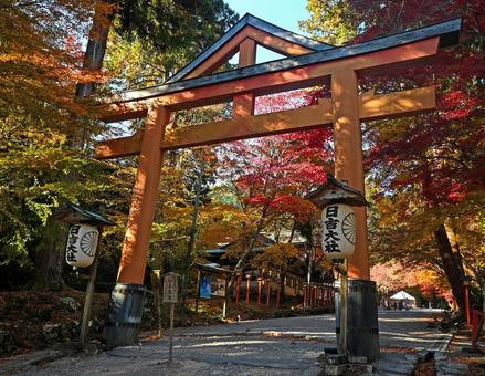 滋賀・大津市 日吉大社 山王鳥居 日吉大社,山王鳥居,鳥居の写真素材