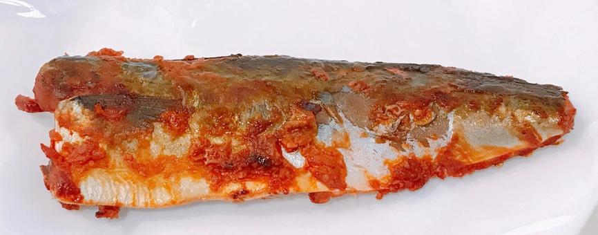 鯖味噌漬け 鯖味噌漬け,鯖,切り身の写真素材