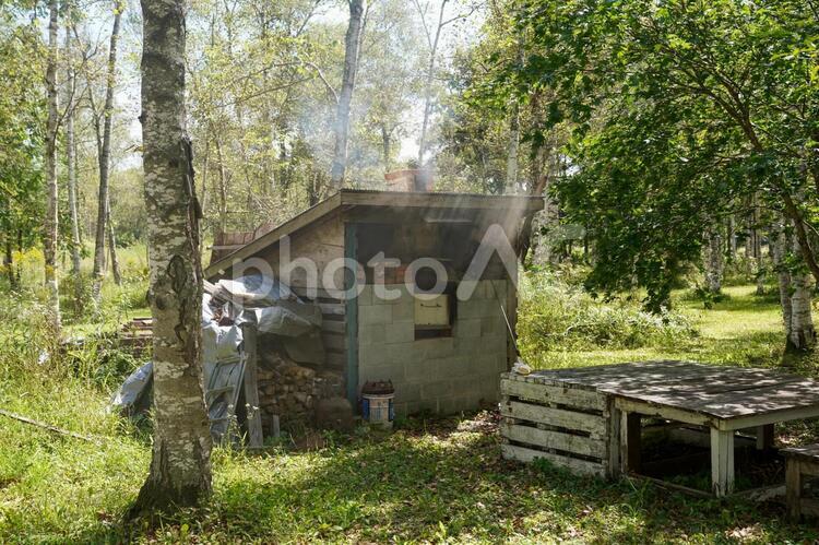 ピザ窯 ピザ窯,窯,煙の写真素材