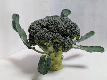 小さな森ブロッコリー ブロッコリー,野菜,緑の写真素材