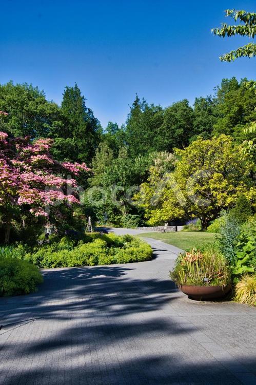 植物園の中の小路　バンデュ－セン植物園　 バンデュ－セン植物園,小路,植物園の写真素材