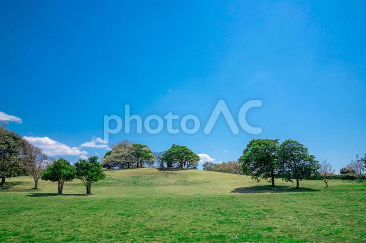 爽やかな公園風景 公園,風景,自然の写真素材