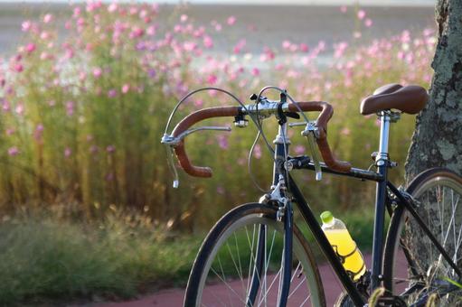 サイクリング サイクリング,自転車,湖の写真素材