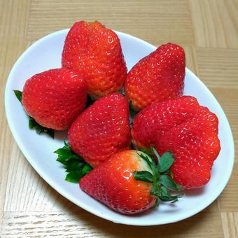 いちご いちごの写真
