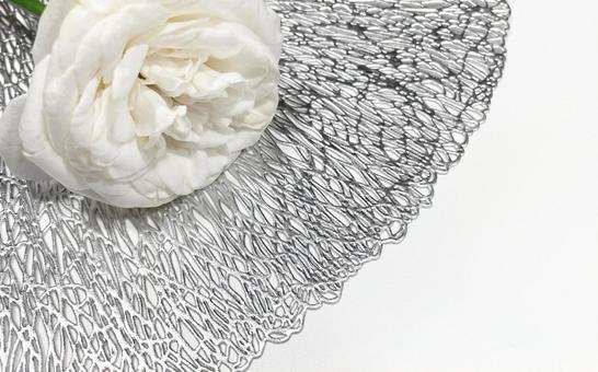 尊敬、一目惚れの花言葉を持つ1本の白薔薇 尊敬、一目惚れの花言葉を持つ1本の白薔薇 白色薔薇,ホワイトローズ,1本の写真素材