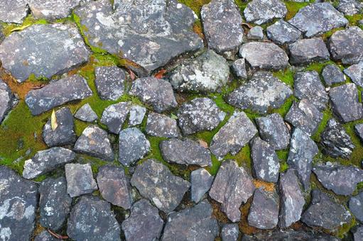 いろんな形をした敷石 石,苔,模様の写真素材