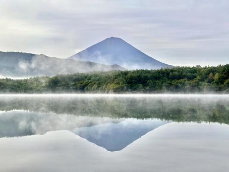 静かな朝の西湖から見る富士山 静かな朝の西湖から見る富士山 富士山,西湖,逆さ富士の写真素材