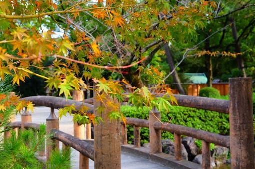 紅葉と橋 紅葉と橋の写真
