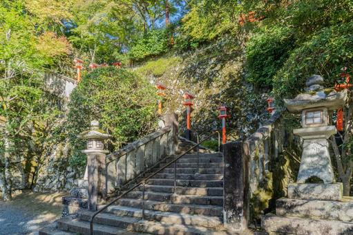 京都 鞍馬寺 本堂金堂への参道 京都 鞍馬寺 本堂金堂への参道 鞍馬寺,寺,寺院の写真素材