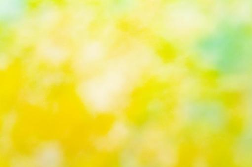 黄色と緑の柔らかな背景 黄色と緑の柔らかな背景の写真