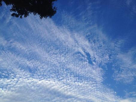 空 空の写真