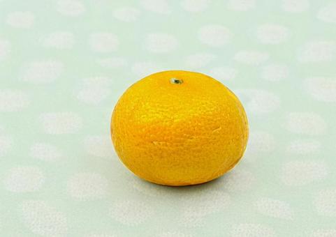 みかん（背景）の写真
