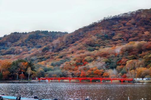 赤城の紅葉と神社 赤城の紅葉と神社 赤城,紅葉,神社の写真素材