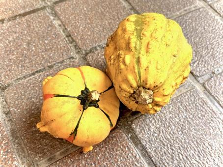 おもちゃみたいなカボチャ 04 パンプキン,かぼちゃ,野菜の写真素材