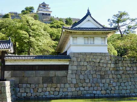 丸亀城大手門と天守 丸亀城大手門と天守 丸亀城,丸亀市,城郭の写真素材