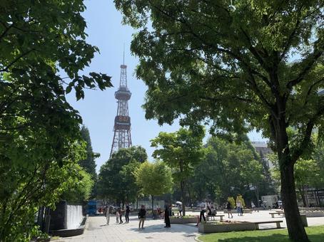新緑が茂る7月初旬札幌大通公園西2丁目 新緑が茂る7月初旬札幌大通公園西2丁目 大通公園,さっぽろテレビ塔,タワーの写真素材