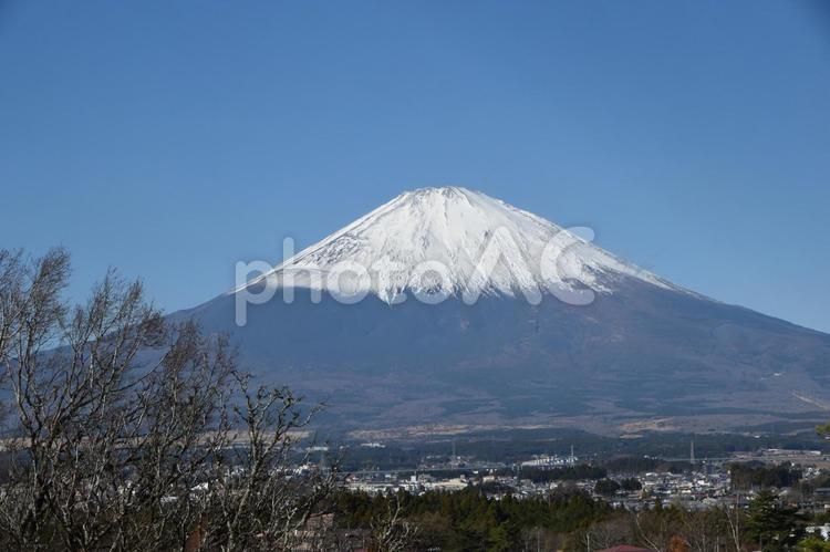大雪過ぎの晴れた朝の富士山 富士山,御殿場市,霊峰富士の写真素材
