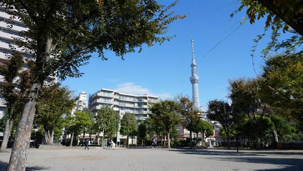 墨田区の公園 墨田区,公園,青空の写真素材