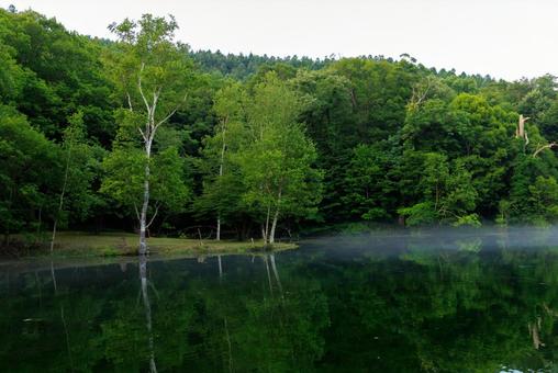 鳥沼公園 鳥沼公園 鳥沼公園,鳥沼,ボートの写真素材