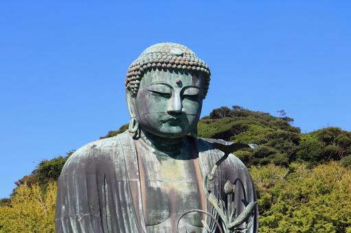 鎌倉大仏 鎌倉大仏 鎌倉大仏殿高徳院,鎌倉市,神奈川県の写真素材