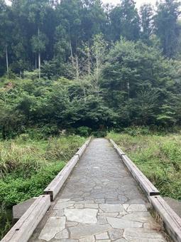 森に続く橋の写真