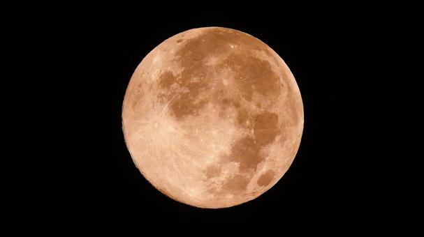 スーパームーン（最も大きく見える満月） 月,moon,満月の写真素材