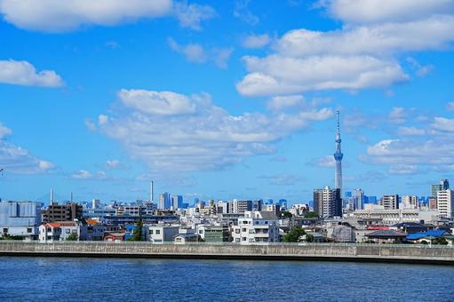 真夏の空の下のスカイツリー 真夏の空の下のスカイツリーの写真
