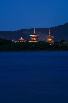 薬師寺ライトアップ 夜景 薬師寺ライトアップ 夜景の写真