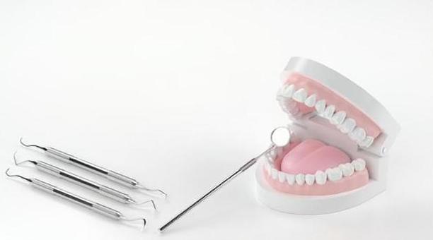 3D rendering of tooth model and scaler, tooth, model, dentistry, JPG