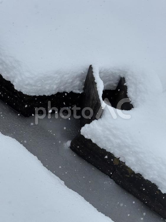 降雪時の側溝と田んぼへの取水口 側溝,雪,snowの写真素材