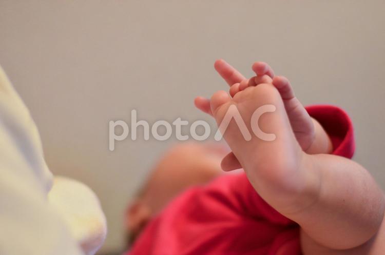 自分の足を発見して触って遊ぶ赤ちゃん 足,手,赤ちゃんの写真素材