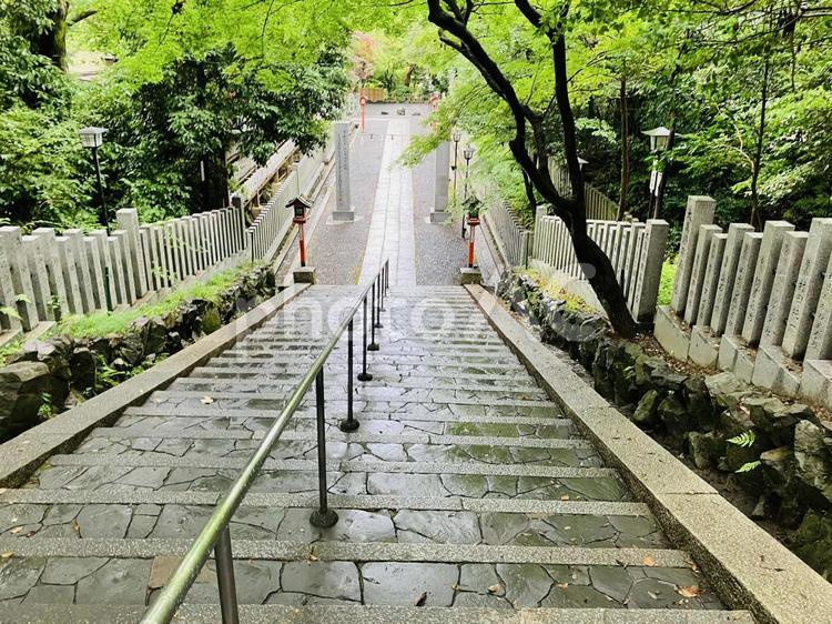 長岡天満宮　参道の階段 長岡天満宮,京都府長岡京市,京都十六社の写真素材