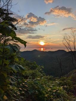 雑木林からのぞく夕日 雑木林からのぞく夕日の写真