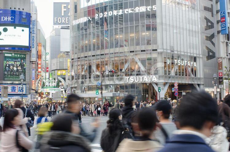 冬の渋谷スクランブル交差点 スクランブル,ネオン,ビルの写真素材