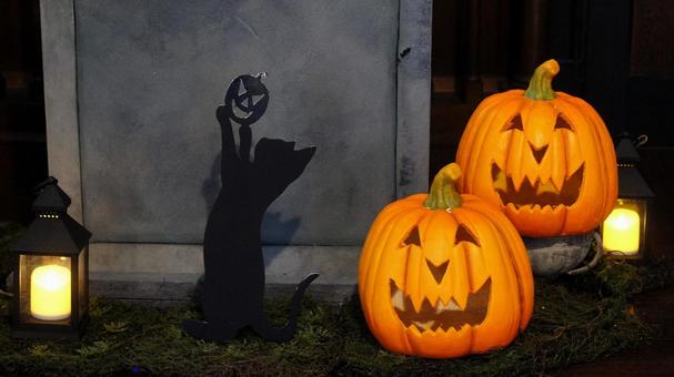 ハロウィン-252 ハロウィン,ジャックオーランタン,かぼちゃの写真素材