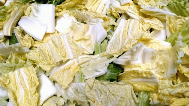 大量のカット白菜 大量のカット白菜 カット,白菜,野菜の写真素材