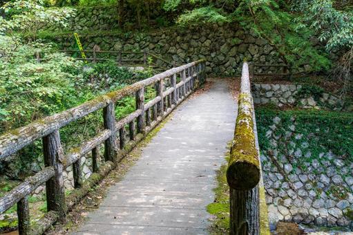 静岡県浜松市　秋の仙厳の滝 遊歩道 日本,静岡県,浜松市の写真素材
