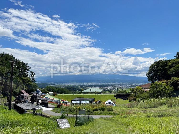 夏の青空と新緑の風景 新緑,夏,夏空の写真素材