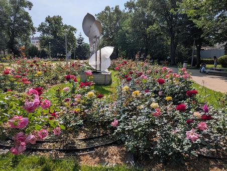 ローズガーデンの写真