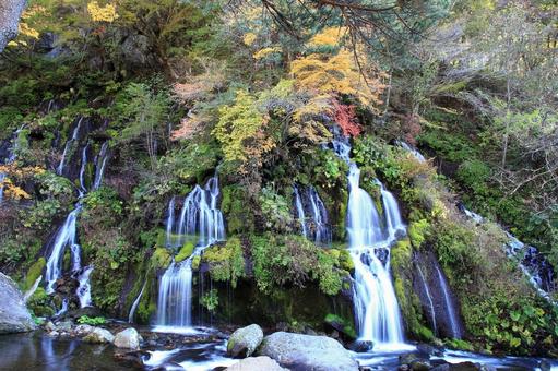 【山梨県】紅葉した吐竜の滝 【山梨県】紅葉した吐竜の滝 山梨県,北杜市,吐竜の滝の写真素材
