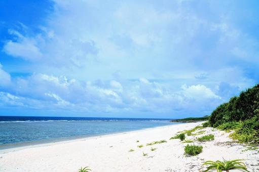 沖縄・波照間島にある日本最南端のビーチ 沖縄・波照間島にある日本最南端のビーチの写真