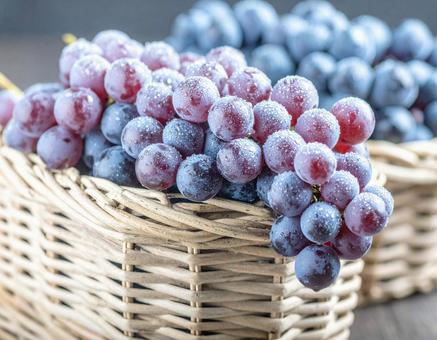 かごに入ったぶどうの写真