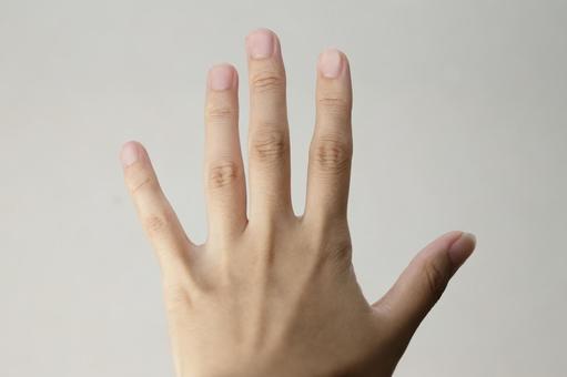 ストップ ストップの写真
