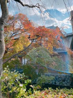 秋の京都の写真