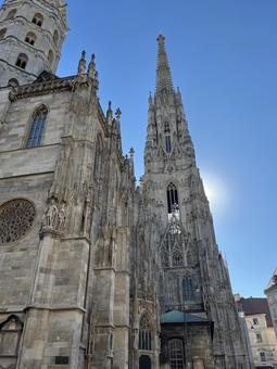 シュテファン大聖堂　ウィーン 大聖堂,教会,ヨーロッパの写真素材