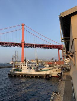 Wakato Bridge in the evening, JPG