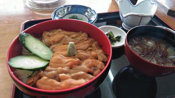 うに丼 うに丼 利尻,エゾバフンウニ,うに丼の写真素材