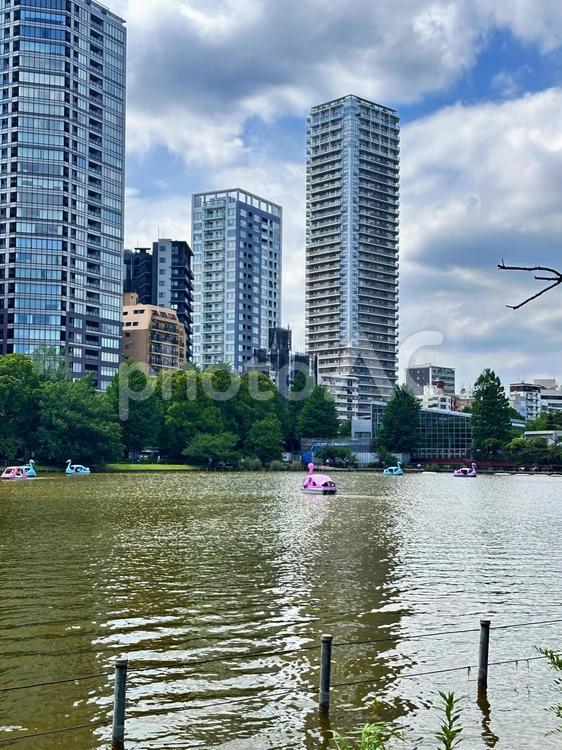 上野公園　池 街並み,風景,上野恩賜公園の写真素材