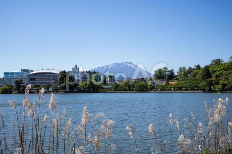 高松の池と岩手山（岩手県盛岡市） 岩手山,高松の池,岩手の写真素材